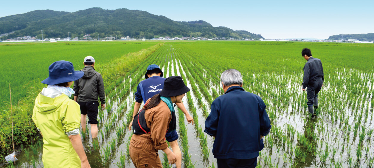 地域体験型農業研修「石巻百姓塾」